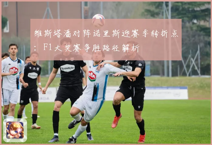 维斯塔潘对阵诺里斯迎赛季转折点：F1大奖赛争胜路径解析