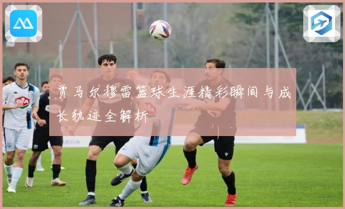 贾马尔穆雷篮球生涯精彩瞬间与成长轨迹全解析