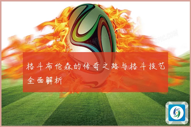 格斗布伦森的传奇之路与格斗技艺全面解析