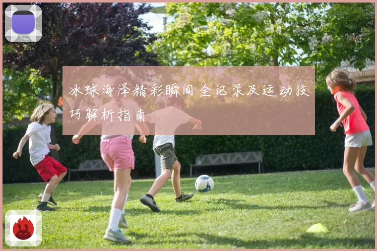 冰球海泽精彩瞬间全记录及运动技巧解析指南