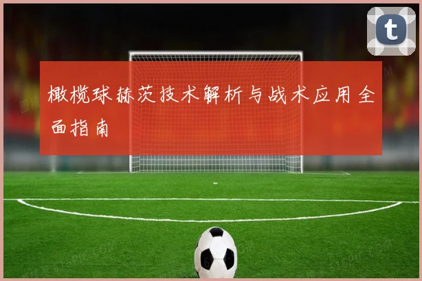 橄榄球赫茨技术解析与战术应用全面指南