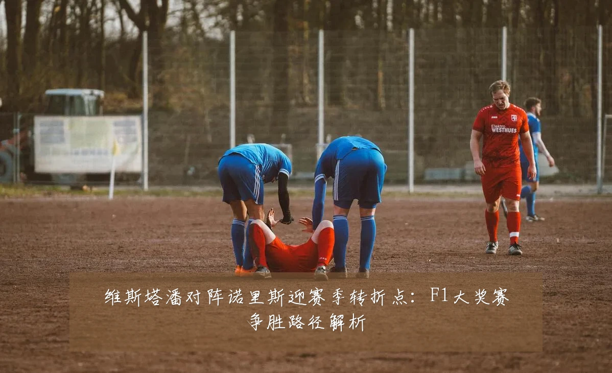 维斯塔潘对阵诺里斯迎赛季转折点:F1大奖赛争胜路径解析
