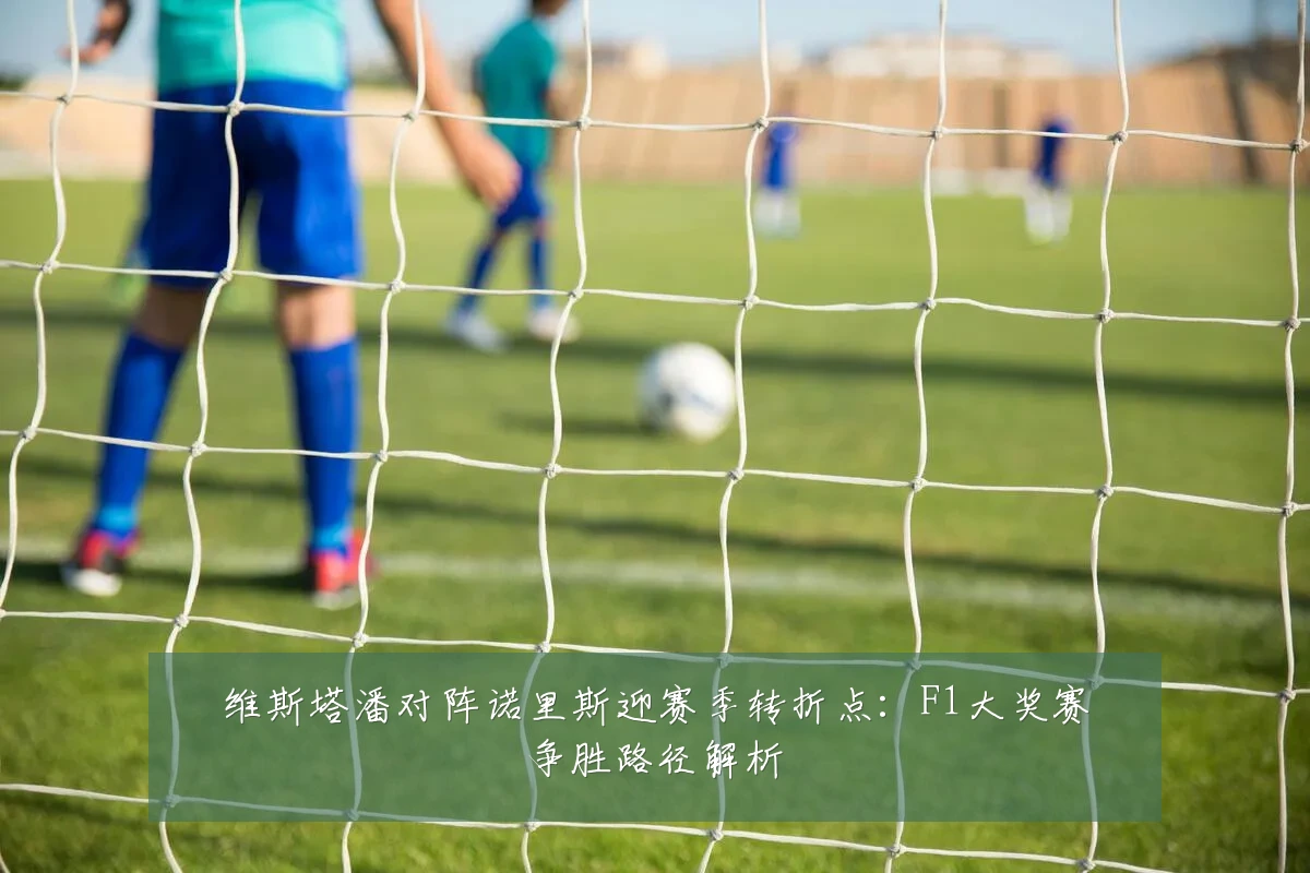 维斯塔潘对阵诺里斯迎赛季转折点:F1大奖赛争胜路径解析