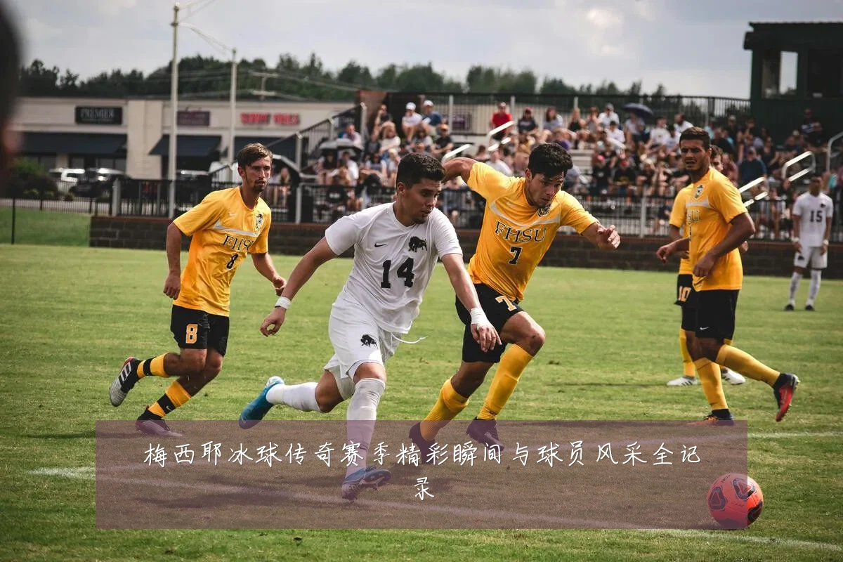 梅西耶冰球传奇赛季精彩瞬间与球员风采全记录